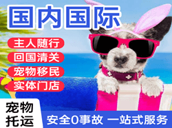 徐州机场空运国际宠物托运 【国